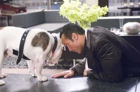 Oyun Bozan Fotoğrafı