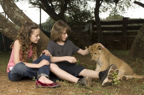 Life ıs Wild Fotoğrafı