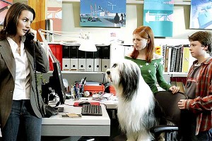 Bak Şu Köpeğe Fotoğrafı