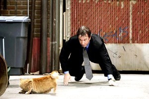 Bak Şu Köpeğe Fotoğrafı