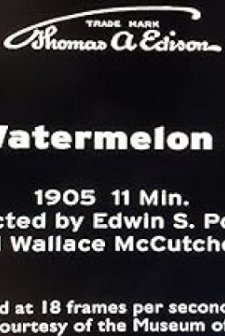 Watermelon Patch (1905) afişi