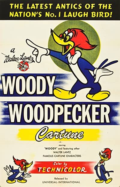 Stowaway Woody (1963) afişi