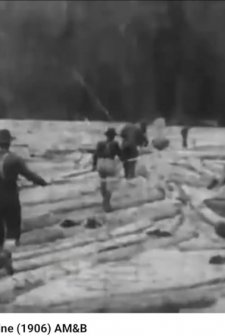 Logging in Maine (1906) afişi