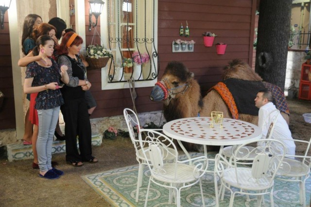 Alemin Kıralı Fotoğrafı