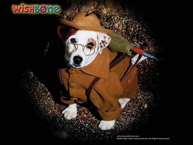 Wishbone,yaşa Wishbone Fotoğrafı