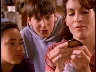 Wishbone,yaşa Wishbone Fotoğrafı