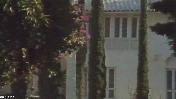 Square Grouper Fotoğrafı