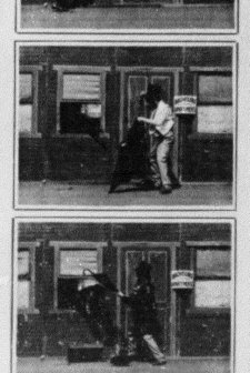 The Tramp And The Burglar (1900) afişi