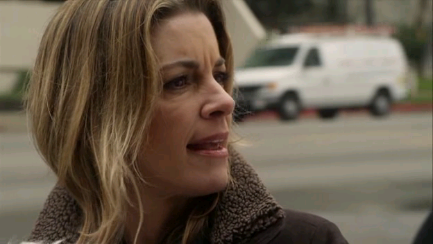 My Dog's Christmas Miracle Fotoğrafı