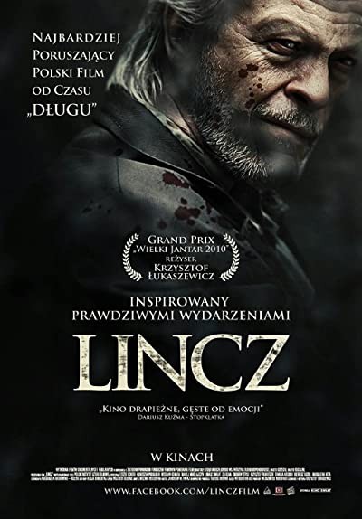 Linç (2010) afişi