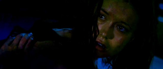 Gizemli Yolculuk Fotoğrafı