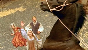 Die Gänsemagd Fotoğrafı