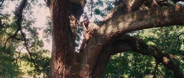 Zincirsiz Fotoğrafı