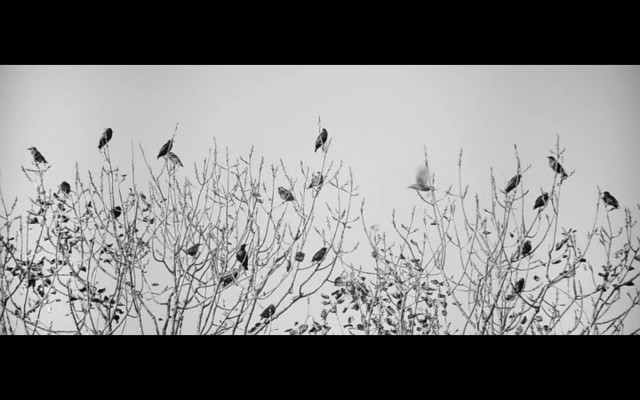 Sanatçı ve Modeli Fotoğrafı