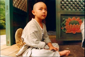 İlkbahar Yaz Sonbahar Kış Ve İlkbahar Fotoğrafı