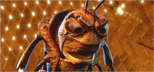 Bir Böceğin Yaşamı Fotoğrafı