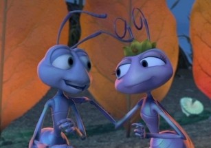 Bir Böceğin Yaşamı Fotoğrafı