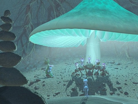 Bir Böceğin Yaşamı Fotoğrafı