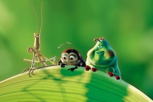 Bir Böceğin Yaşamı Fotoğrafı