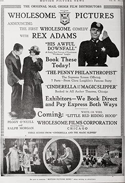 Cinderella and the Magic Slipper (1917) afişi