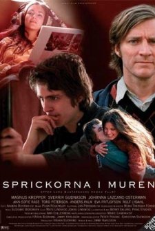 Sprickorna i muren (2003) afişi