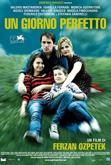 Mükemmel Bir Gün (2008) afişi