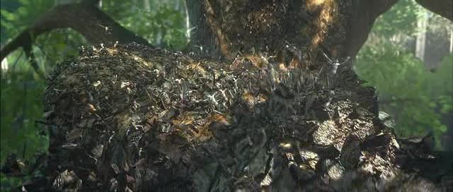 Doğal Kahramanlar Fotoğrafı