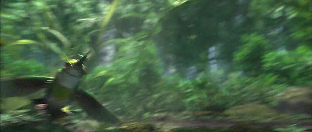 Doğal Kahramanlar Fotoğrafı