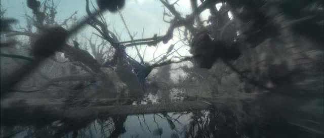 Doğal Kahramanlar Fotoğrafı