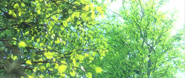 Doğal Kahramanlar Fotoğrafı