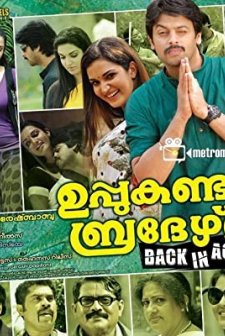 Uppukandam Brothers Back in Action (2011) afişi