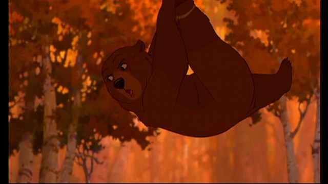 Ayı Kardeş Fotoğrafı