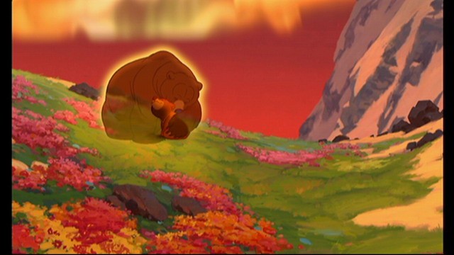 Ayı Kardeş Fotoğrafı