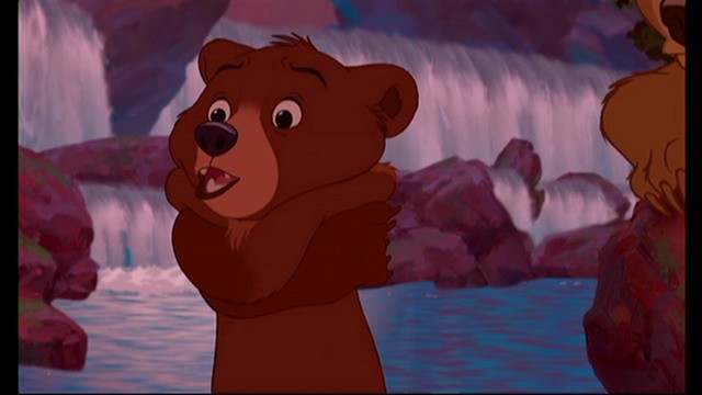 Ayı Kardeş Fotoğrafı