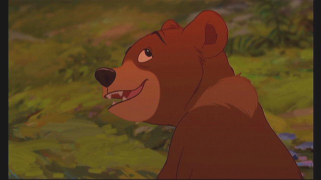 Ayı Kardeş Fotoğrafı