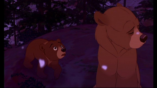 Ayı Kardeş Fotoğrafı