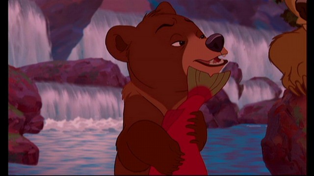 Ayı Kardeş Fotoğrafı