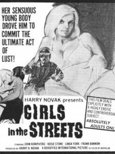 A Scream in the Streets (1973) afişi