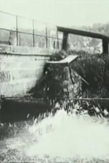 Plongeur Fantastique (1901) afişi