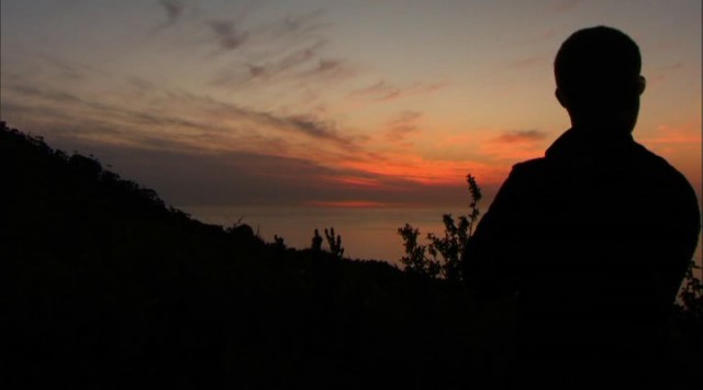 Yırtıcılarla Yüz Yüze: Köpekbalıklarının Av Zamanı Fotoğrafı