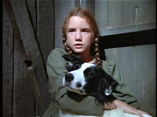 Küçük Ev Fotoğrafı