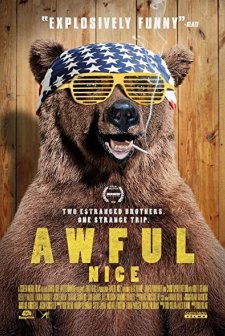 Korkunç Güzel (2013) afişi