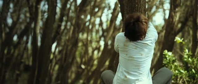 Kim'in Adası Fotoğrafı