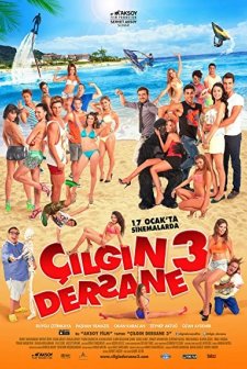 Çılgın Dersane 3 (2014) afişi