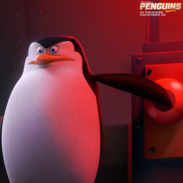 Madagaskar Penguenleri Fotoğrafı