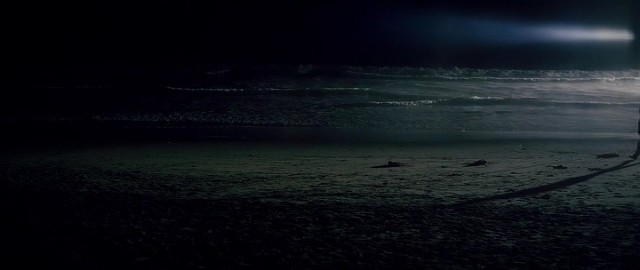 Yüzleşme Fotoğrafı