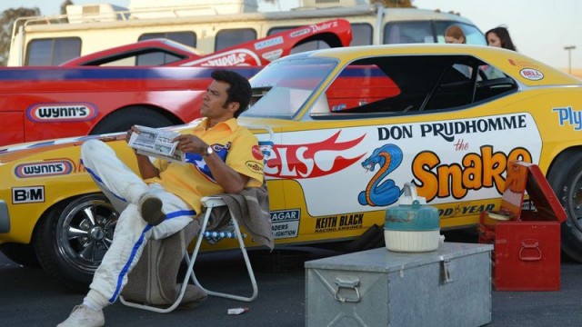 Snake & Mongoose Fotoğrafı