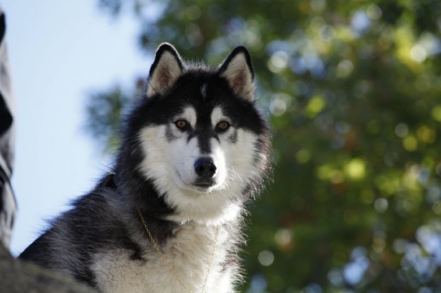 Doğayla Mücadele Fotoğrafı
