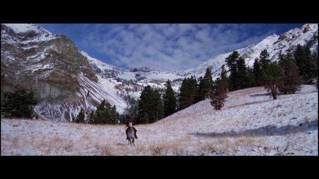 Namludaki Adalet Fotoğrafı