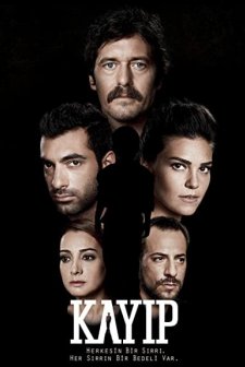Kayıp (2013) afişi